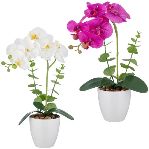 4064118326045 - Kunstorchidee CREATIV GREEN Orchidee Phalaenopsis 2 farben 2 H40cm Kunststoff Kunstpflanzen mit Eukalyptuszweigen 4064118326045 - Kunstorchidee CREATIV GREEN Orchidee Phalaenopsis 2 farben 2 H40cm Kunststoff Kunstpflanzen mit Eukalyptuszweigen