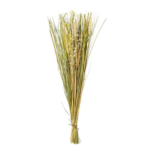 4064118871576 - Kunstpflanze TROCKENBLUME (H 60 cm) 4064118871576 - Kunstpflanze TROCKENBLUME (H 60 cm)