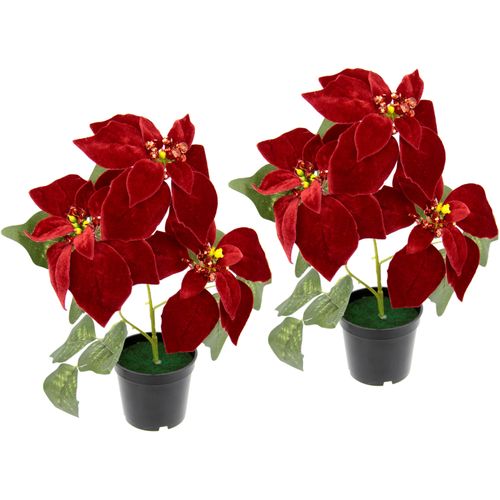 4019844780661 - Kunstpflanze IGEA Samt-Poinsettie rot B25cm H32cm L18cm Obermaterial 90% Polyester 10% Kunststoff Kunstpflanzen im Topf 2er Set
