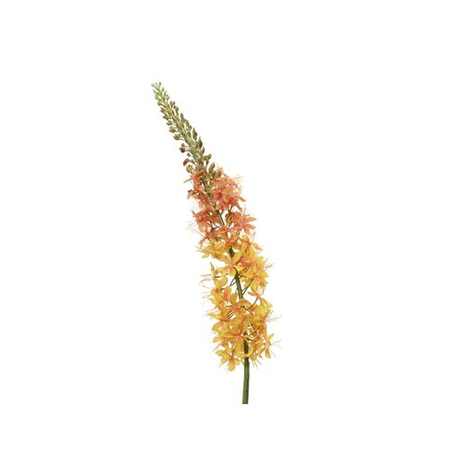 8720725755994 - Kunstblume Fuchsschwanz (DH 8x96 cm) DH 8x96 cm gelb Pflanze Kunstpflanze Zimmerpflanze