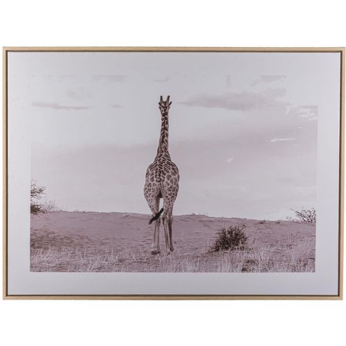 4064118351719 - Bild mit Rahmen CREATIV HOME Giraffe schwarz-weiß (farbe rahmen hellbraun farbe bild(er) schwarz weiß) B80cm H60cm T25cm Bilder mit schwarz-weißem Motiv
