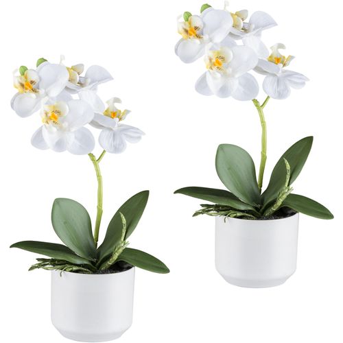 4064118240747 - Kunstorchidee CREATIV GREEN Orchidee Phalaenopsis weiß H27cm Kunststoff Kunstpflanzen mit real-touch-Blüten 4064118240747 - Kunstorchidee CREATIV GREEN Orchidee Phalaenopsis weiß H27cm Kunststoff Kunstpflanzen mit real-touch-Blüten