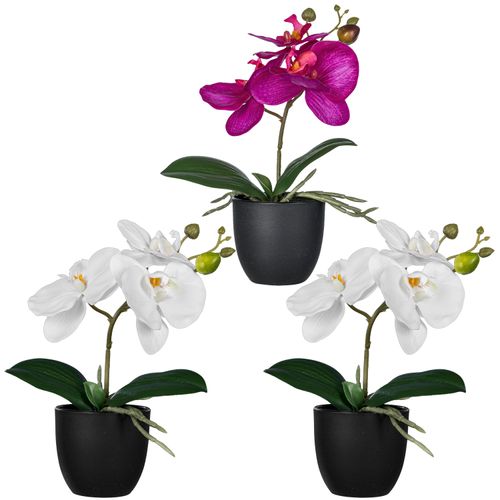 4064118326137 - Kunstorchidee CREATIV GREEN Orchidee Phalaenopsis bunt H23cm Kunststoff Kunstpflanzen mit naturgetreuen Blüten 4064118326137 - Kunstorchidee CREATIV GREEN Orchidee Phalaenopsis bunt H23cm Kunststoff Kunstpflanzen mit naturgetreuen Blüten