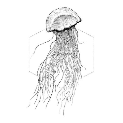 4055065152146 - Bild KOMAR Jellyfish White bunt (farbe bild(er) bunt) B40cm H50cm Papier Holz Bilder Wandbild zur Dekoration - ohne Rahmen 4055065152146 - Bild KOMAR Jellyfish White bunt (farbe bild(er) bunt) B40cm H50cm Papier Holz Bilder Wandbild zur Dekoration - ohne Rahmen
