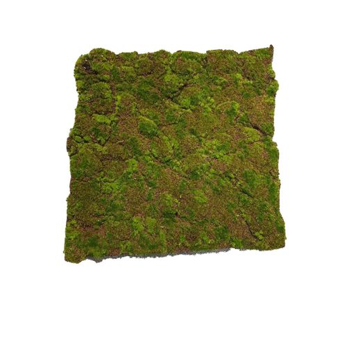 4251312969493 - Moosmatte Braun-Grün 50 x 50 cm Kunstpflanze Flora