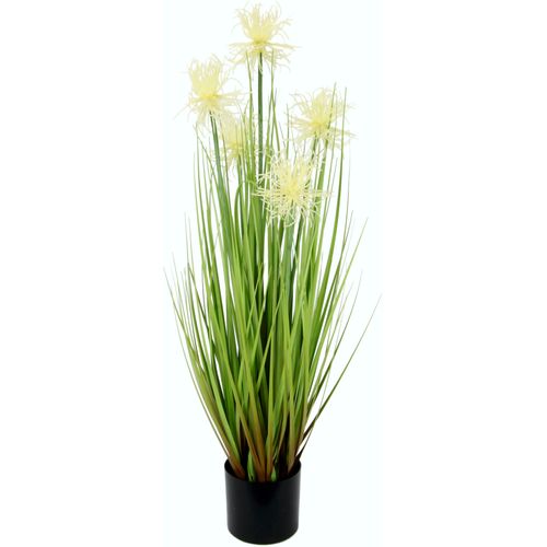 4019844746827 - Kunstgras IGEA Proteagras Kunstpflanzen Gr B H 22 cm x 68 cm 1 St weiß Kunstgras Kunst-Gräser Kunstpflanzen im Kunststofftopf 4019844746827 - Kunstgras IGEA Proteagras Kunstpflanzen Gr B H 22 cm x 68 cm 1 St weiß Kunstgras Kunst-Gräser Kunstpflanzen im Kunststofftopf