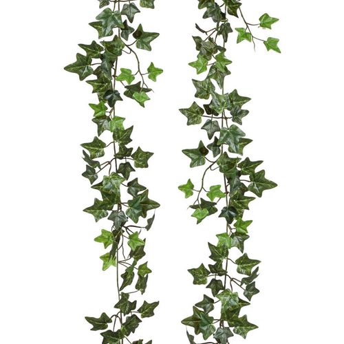 4064118841418 - Kunstgirlande CREATIV GREEN Efeugirlande grün B10cm H180cm Obermaterial 70% Polyester 30% Kunststoff Kunstpflanzen 4064118841418 - Kunstgirlande CREATIV GREEN Efeugirlande grün B10cm H180cm Obermaterial 70% Polyester 30% Kunststoff Kunstpflanzen