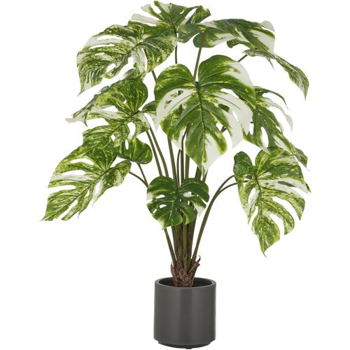 4064118326441 - Kunstpflanze CREATIV GREEN Splitphilodendron grün (grün weiß) H100cm Kunststoff Kunstpflanzen mit naturgetreuem Blattwerk