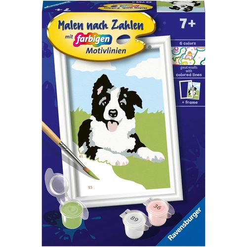 4005556237593 - Malen nach Zahlen RAVENSBURGER CreArt Border Collie Welpe bunt Malvorlagen KinderB5cm H12cm Made in Europe B5cm H12cm 4005556237593 - Malen nach Zahlen RAVENSBURGER CreArt Border Collie Welpe bunt Malvorlagen KinderB5cm H12cm Made in Europe B5cm H12cm