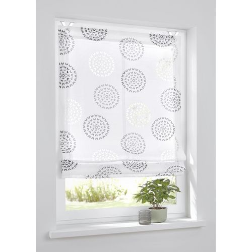 4016478081713 - Raffrollo KUTTI Bella Gr 2 grau (weiß grau) B60cm H140cm Obermaterial 65% Baumwolle 35% Polyester Raffrollos weiß halbtransparent Ausbrenner bedruckt mit Edelstahlhaken