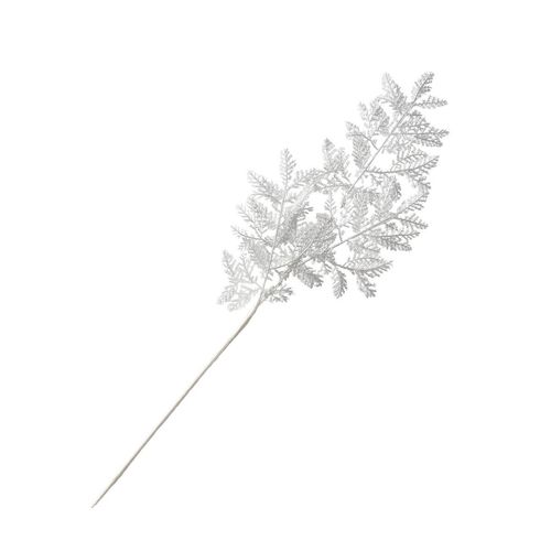 4066076538089 - Zweig