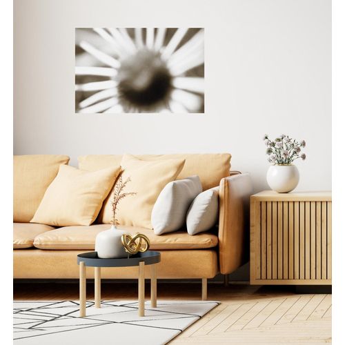 4067437103946 - Wandsticker QUEENCE The Sun weiß B90cm H60cm T01cm Folie Wandtattoos Selbstklebend kinderleichte Anbringung