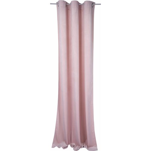 4260478140431 - Vorhang TOM TAILOR FRENCH VELVET Gardinen Gr 245 cm Ösen 135 cm rosa (rosé) Ösen Gardine HxB 245x135