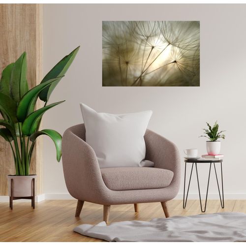 4067437103649 - Wandsticker QUEENCE Sunny grau B90cm H60cm T01cm Folie Wandtattoos Selbstklebend kinderleichte Anbringung 4067437103649 - Wandsticker QUEENCE Sunny grau B90cm H60cm T01cm Folie Wandtattoos Selbstklebend kinderleichte Anbringung