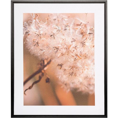 4064118351740 - Bild mit Rahmen CREATIV HOME Pusteblume beige (farbe rahmen schwarz farbe bild(er) natur) B40cm H50cm T25cm Papier Bilder auf Canvas-Leinwand 4064118351740 - Bild mit Rahmen CREATIV HOME Pusteblume beige (farbe rahmen schwarz farbe bild(er) natur) B40cm H50cm T25cm Papier Bilder auf Canvas-Leinwand