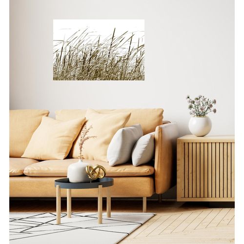 4067437104059 - QUEENCE Wandsticker Sylt Wandtattoos Selbstklebend kinderleichte Anbringung Gr B H T 150 cm x 100 cm x 01 cm Grashalm-Grashalme beige Wandtattoos Natur 4067437104059 - QUEENCE Wandsticker Sylt Wandtattoos Selbstklebend kinderleichte Anbringung Gr B H T 150 cm x 100 cm x 01 cm Grashalm-Grashalme beige Wandtattoos Natur