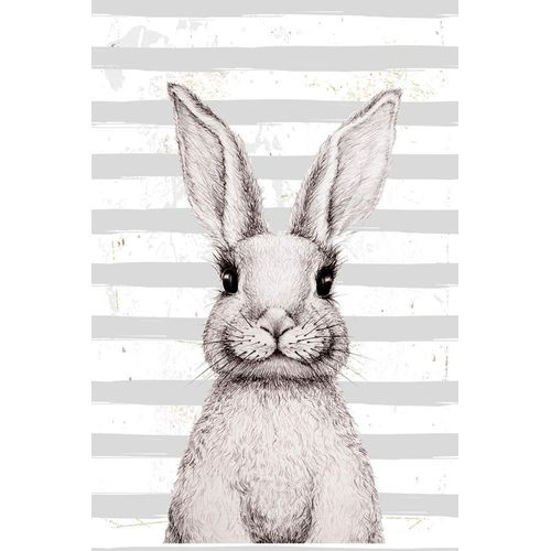 4049009865391 - Metallbild QUEENCE Bunny III weiß (farbe bild(er) weiß) B30cm H45cm Stahl Metall Bilder Stahlschild Blechschild Hase grau gestreift 4049009865391 - Metallbild QUEENCE Bunny III weiß (farbe bild(er) weiß) B30cm H45cm Stahl Metall Bilder Stahlschild Blechschild Hase grau gestreift