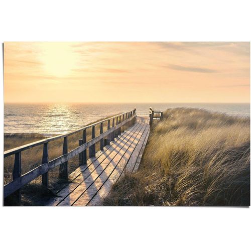 8714597393408 - Poster REINDERS Weg zum Strand grün (farbe bild(er) khaki) B915cm H61cm Papier Bilder