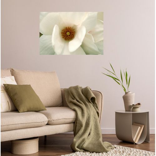 4067437103717 - Wandsticker QUEENCE White Love weiß B120cm H80cm T01cm Folie Wandtattoos Selbstklebend kinderleichte Anbringung 4067437103717 - Wandsticker QUEENCE White Love weiß B120cm H80cm T01cm Folie Wandtattoos Selbstklebend kinderleichte Anbringung