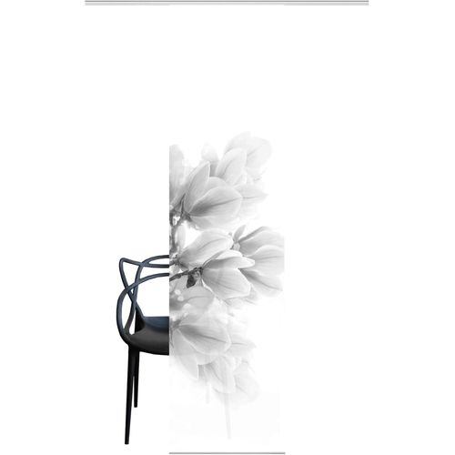 4056751483667 - Schiebegardine HEINE HOME grau (grau weiß) B60cm H245cm Polyester Gardinen
