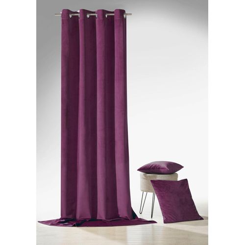 4005385833447 - Vorhang WECKBRODT Valentin Gardinen Gr 245 cm Ösen 135 cm lila (aubergine) Ösen Gardine Ösenschal Gardine blickdicht Samt-Optik Velour Unifarben
