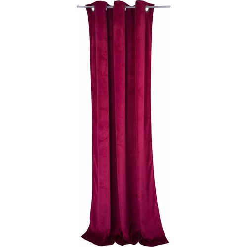 4260478140455 - Vorhang TOM TAILOR FRENCH VELVET Gardinen Gr 245 cm Ösen 135 cm rot (burgund) Ösen Gardine HxB 245x135 4260478140455 - Vorhang TOM TAILOR FRENCH VELVET Gardinen Gr 245 cm Ösen 135 cm rot (burgund) Ösen Gardine HxB 245x135