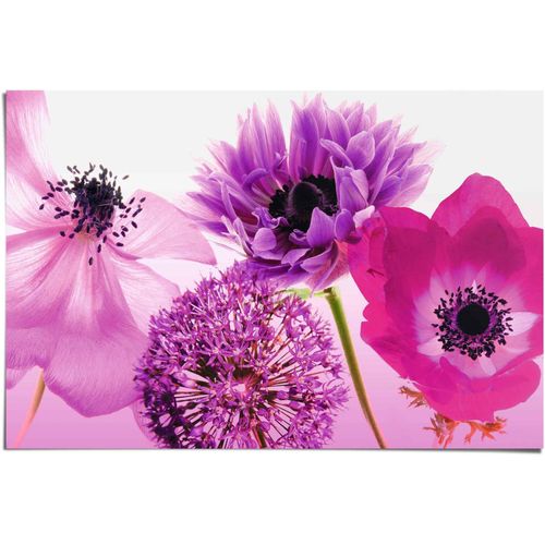 8714597336191 - Poster REINDERS Lila Sommer lila (farbe bild(er) lila) B915cm H61cm Papier Bilder