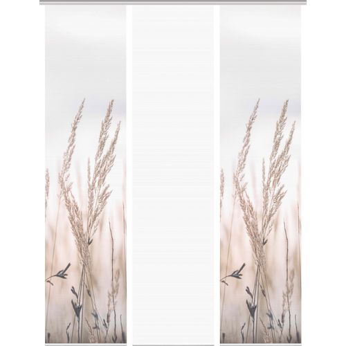 4056751415620 - Schiebegardine VISION S RELVA beige (natur) B60cm H260cm Polyester Gardinen DIGITALDRUCK