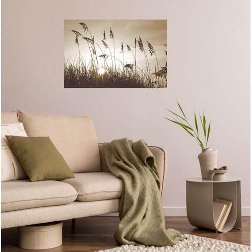 4067437104578 - Wandsticker QUEENCE Düne beige B90cm H60cm T01cm Folie Wandtattoos Selbstklebend kinderleichte Anbringung