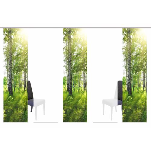 4056751137126 - Schiebegardine HOME WOHNIDEEN GALWAY Gardinen grün Fertiggardine Flächenvorhang Gardine Plissee Sonnenschutz-Plissee Übergardine Vorhang nach Räumen HxB 245x60 inkl Befestigungszubehör
