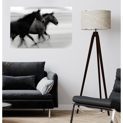 4067437104110 - QUEENCE Wandsticker Horses Wandtattoos Selbstklebend kinderleichte Anbringung Gr B H T 150 cm x 100 cm x 01 cm Pferd-Pferde schwarz Wandtattoos Tiere 4067437104110 - QUEENCE Wandsticker Horses Wandtattoos Selbstklebend kinderleichte Anbringung Gr B H T 150 cm x 100 cm x 01 cm Pferd-Pferde schwarz Wandtattoos Tiere
