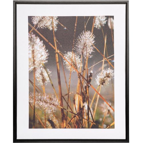 4064118317340 - Bild mit Rahmen CREATIV HOME Leinwandbild Blüten mit Tropfen bunt (farbe rahmen schwarz farbe bild(er) bunt) B40cm H50cm T25cm Bilder mit Rahmen