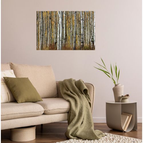 4067437104257 - Wandsticker QUEENCE Pia beige B120cm H80cm T01cm Folie Wandtattoos Selbstklebend kinderleichte Anbringung