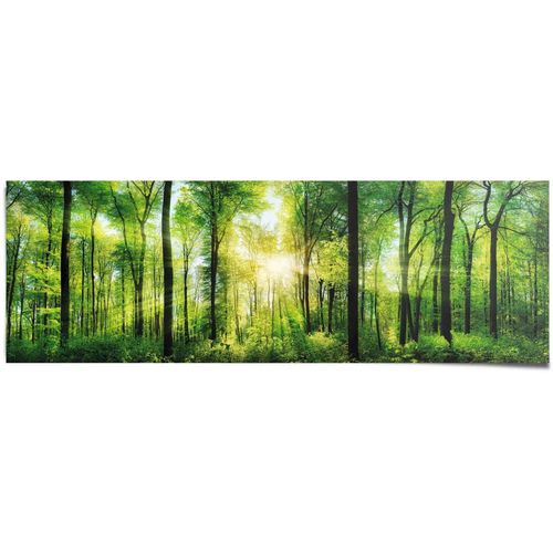 8714597528404 - Poster REINDERS Sommerwald grün (farbe bild(er) grün) B158cm H53cm Papier Bilder