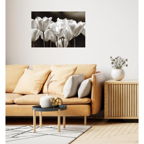 4067437103908 - QUEENCE Wandsticker Black & White Wandtattoos Selbstklebend kinderleichte Anbringung Gr B H T 150 cm x 100 cm x 01 cm Blume weiß Wandtattoos Natur 4067437103908 - QUEENCE Wandsticker Black & White Wandtattoos Selbstklebend kinderleichte Anbringung Gr B H T 150 cm x 100 cm x 01 cm Blume weiß Wandtattoos Natur