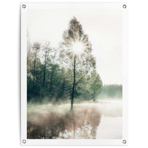 8714597638486 - Poster REINDERS Sonne durch die Bäume grün (farbe bild(er) grün) B60cm H80cm T01cm Leinwand Bilder Outdoor für Garten oder Balkon