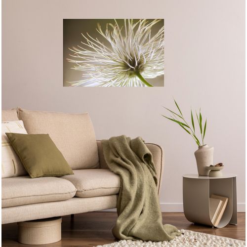 4067437103786 - QUEENCE Wandsticker Klara Wandtattoos Selbstklebend kinderleichte Anbringung Gr B H T 150 cm x 100 cm x 01 cm Blume beige Wandtattoos Natur