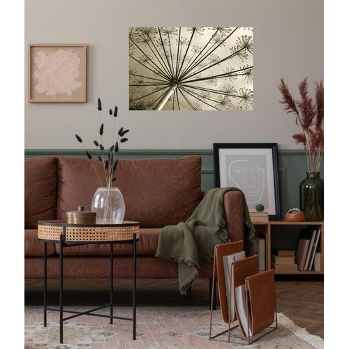 4067437103847 - QUEENCE Wandsticker Lisa Wandtattoos Selbstklebend kinderleichte Anbringung Gr B H T 150 cm x 100 cm x 01 cm Pusteblume-Blume beige Wandtattoos Natur