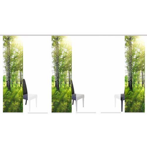 4056751137133 - Schiebegardine HOME WOHNIDEEN GALWAY Gardinen grün Fertiggardine Flächenvorhang Gardine Plissee Sonnenschutz-Plissee Übergardine Vorhang nach Räumen HxB 245x60 inkl Befestigungszubehör