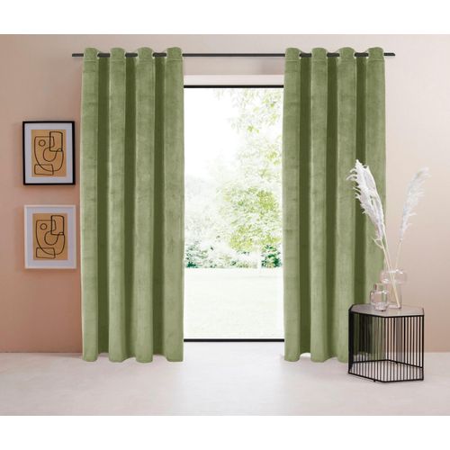 4067602538122 - Vorhang Samt Ladina Gr 1 grau (taupe) B140cm H145cm Polyester Recyceltes Material LEGER HOME BY LENA GERCKE Gardinen blickdichter Vorhang nachhaltige Gardine Samt Vorhang 4067602538122 - Vorhang Samt Ladina Gr 1 grau (taupe) B140cm H145cm Polyester Recyceltes Material LEGER HOME BY LENA GERCKE Gardinen blickdichter Vorhang nachhaltige Gardine Samt Vorhang