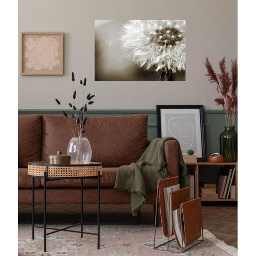 4067437103816 - QUEENCE Wandsticker Lena Wandtattoos Selbstklebend kinderleichte Anbringung Pusteblume Sticker beige Gr B H T 150cm x 90cm x 01cm Pusteblume-Blume braun (sepia)