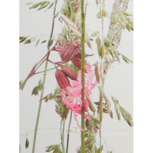 6936782327124 - Vorhang HEINE HOME Gr 1 weiß (weiß bedruckt) B135cm H145cm Polyester Gardinen