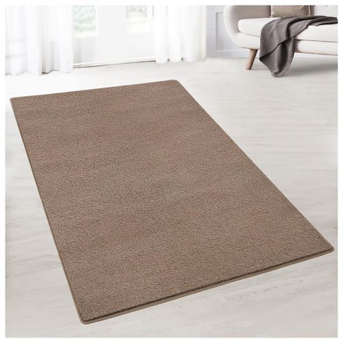 4066088138178 - Floordirekt Teppich-Läufer Dynasty 24015 Hellbraun Rechteckig 1000 mm x 2000 mm