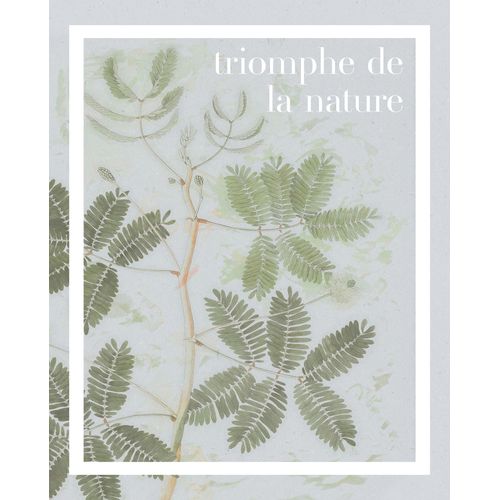 4055065175947 - Wandbild »Triomphe de la nature« (1 St) Deutsches Premium-Poster Fotopapier mit seidenmatter Oberfläche und hoher Lichtbeständigkeit Für fotorealistische Drucke mit gestochen scharfen Details und hervorragender Farbbrillanz 4055065175947 - Wandbild »Triomphe de la nature« (1 St) Deutsches Premium-Poster Fotopapier mit seidenmatter Oberfläche und hoher Lichtbeständigkeit Für fotorealistische Drucke mit gestochen scharfen Details und hervorragender Farbbrillanz