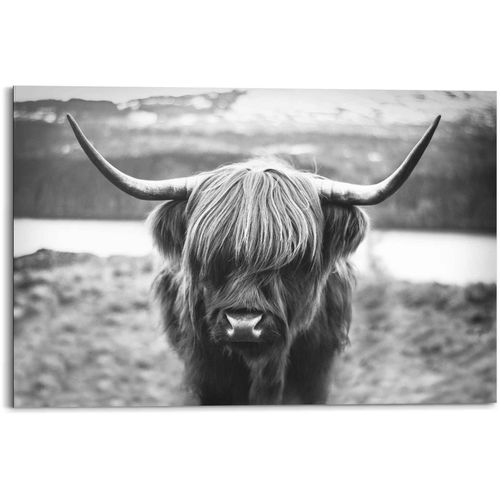 8714597598513 - Wandbild REINDERS Wandbild Schottische Hochlandrind Stier - Hörner Hochplateau Bilder Gr B H 90 cm x 60 cm Tiere 1 St schwarz (schwarz weiß) Kunstdrucke