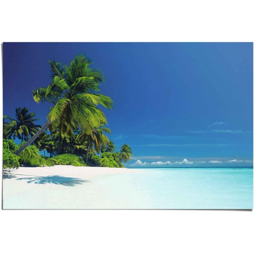 8714597503180 - Poster REINDERS Palmenstrand blau (farbe bild(er) blau) B915cm H61cm Papier Bilder