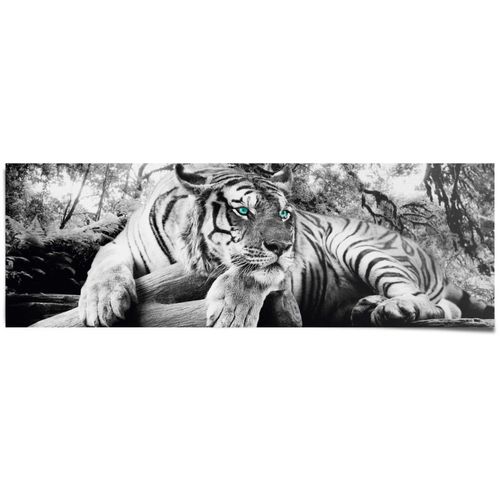 8714597379204 - Poster REINDERS Tigerblick schwarz (farbe bild(er) schwarz) B158cm H53cm Papier Bilder