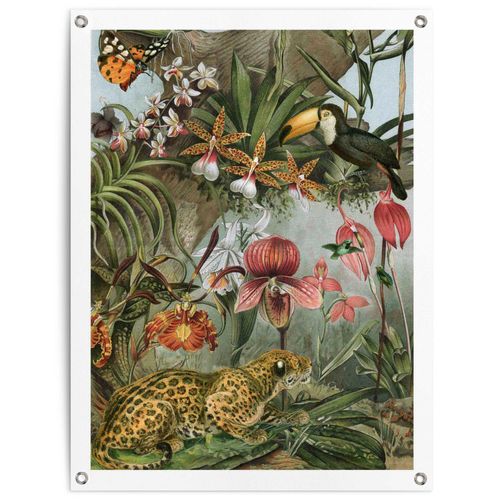 8714597638257 - Poster REINDERS Dschungelblumen grün (farbe bild(er) grün) B60cm H80cm T01cm Leinwand Bilder Outdoor für Garten oder Balkon 8714597638257 - Poster REINDERS Dschungelblumen grün (farbe bild(er) grün) B60cm H80cm T01cm Leinwand Bilder Outdoor für Garten oder Balkon