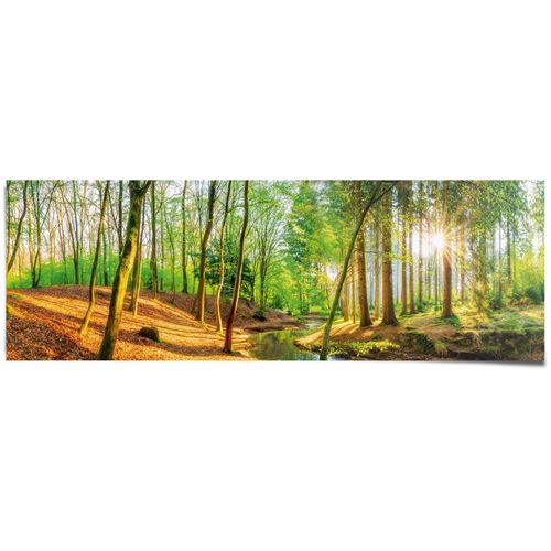 8714597615432 - Poster REINDERS Sonniger Wald grün (farbe bild(er) grün) B158cm H53cm T01cm Papier Bilder 8714597615432 - Poster REINDERS Sonniger Wald grün (farbe bild(er) grün) B158cm H53cm T01cm Papier Bilder