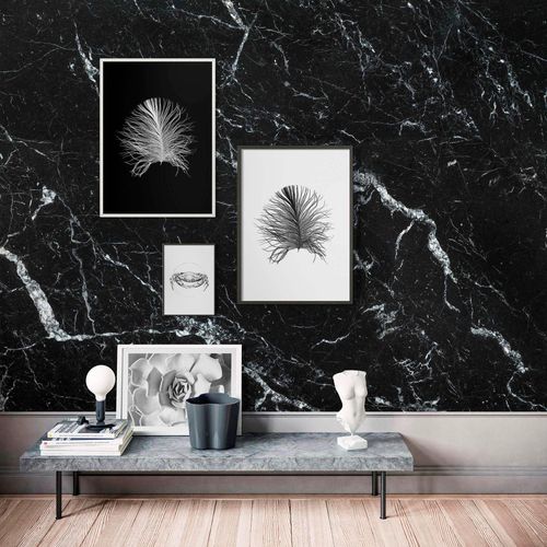 4055065155116 - Bild KOMAR Feather Black bunt (farbe bild(er) bunt) B30cm H40cm Holz Papier Bilder Wandbild zur Dekoration - ohne Rahmen